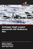 Sviluppo Bubulcus ibis: Sviluppo degli organi sensoriali: DE