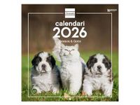 Finocam Wandkalender 2026, 30 x 30 cm, Honden en Katten
