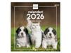 Finocam Wandkalender 2026, 30 x 30 cm, Honden en Katten