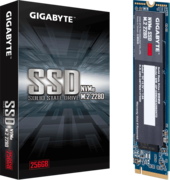 Gigabyte GP-GSM2NE3256GNTD