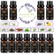 Aphrosmile Aromatherapie Cypresse etherische olieset voor diffuser, 100% pure jasmijn etherische olie kit voor luchtbevochtigers, 11 x 10 ml therapeutische kwaliteit-cajeput etherische oliën set Fenkel, jeneverbes-oliën.