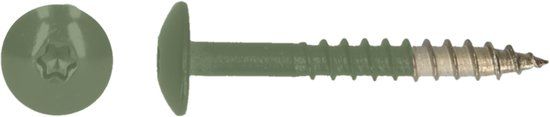 pgb-Europe PGB-FASTENERS HPL schroef Tx20 4,8x38 R6011 A4