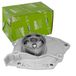 Valeo Waterpomp, Motorkoeling 526010