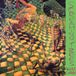 Invisible Screaming Trees Invisible Lantern
