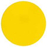 Champion Sport Poly Spot Marker (Pak van 12)