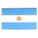 AZ FLAG Vlag Argentinië 90x60 cm