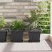 Maison Exclusive Pots de fleurs, 24 pièces, noir, plastique