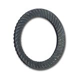 SCHNORR 881200040160000 veiligheidsschijf S M16 verenstaal blank, zilver