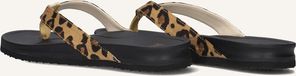 BLASZ Bella 2402 Slippers - Dames - Bruin - Maat 42