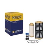 HENGST Filter E1556A HEN E429KP D243-3 injectiesysteem