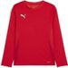 Puma TeamGoal-shirt met lange mouwen voor kinderen Jr 705751