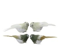 Decoris Vogel foam l3.5b10h3.5 cm a2 2st kerst