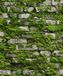 Noordwand Textura Behang stenen muur met mos - 1545731