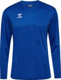 Hummel T-shirt à manches longues Hmlauthentic Pl Jersey L/S 219967