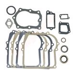 BPC Parts Joint kit passend op B&S 13 (391662)