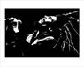 Pyramid Poster - Bob Marley And - 40 X 50 Cm - Multicolor
