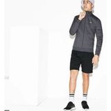 Lacoste Chemises Gris