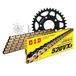 Kettingset DID Kettingset staal 520VX3 / 110 eindeloos voor Honda NSR R 125 cc bouwjaar 1994-1997