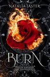 Burn: Dark Seasons: Foolish Kingdoms - Burn