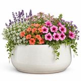 Mica Decorations plantenpot schaal Venice - ivoor wit - terracotta - D34 x H16.5 cm