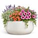 Mica Decorations plantenpot schaal Venice - ivoor wit - terracotta - D34 x H16.5 cm