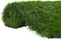 vidaXL Kunstgras 100 x 200 cm Groen PP & PE