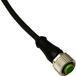 MD Micro Detectors CD12M/0B-050A1 Câble de connexion pour capteurs