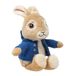 Peter Rainbow Designs Peter Rabbit Soft Toy - 18cm