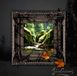 Sonic Rendezvous Isiulusions - I - Follow The Flow (CD)