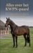 Alles Andries B.V. Alles over het KWPN-paard
