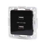 Adapter voor 2 USB-aansluitingen in Duitse en Franse stijl, kleur: zwart