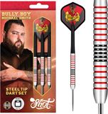 Shot Michael Smith Plated Brass - Dartpijlen
