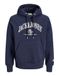 JACK & JONES Jorfrederiksberg Bold Branding Sweathood