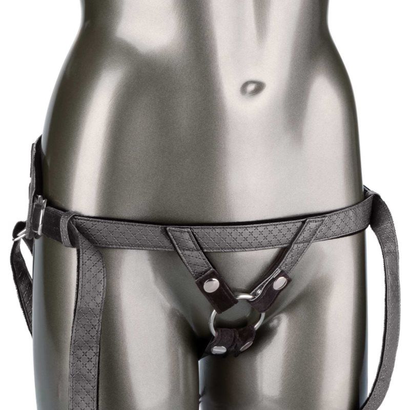 Her Royal Harness