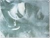 Poster de jardin - Peinture - Blanc - Bleu - Vert - 80x60 cm - Extérieur