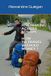 Hitchhiking across Europe: How to Travel Without Money?