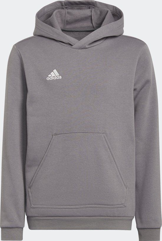 adidas Performance Entrada 22 Sweat Hoodie Kids - Grey - Size 152