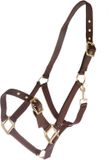 Premiere Halster Cob Bruin