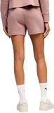 PUMA Dames ESS Small No. 1 Logo 5'' High-waist Shorts Tr (XXL)