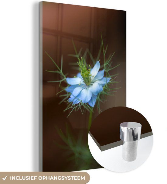 MuchoWow® Glass Painting 100x150 cm - Acrylic Glass Painting - Bright Blue Nigella Flower - Photo on Glass - Paintings