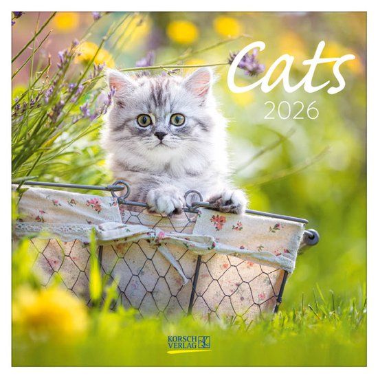 Korsch Verlag Cats kalender - 2026