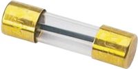 Sinuslive fusible pour voiture 100 A