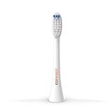 Concept Hausgeräte ZK0050 Daily Clean verwisselbare borstelkoppen voor de dagelijkse verzorging