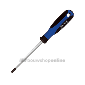 Witte torx- PROTOP II T25 M5 98909