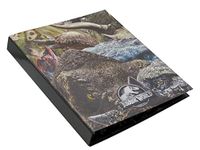 CyP Brands Jurassic World Classeur 4 Anneaux, Fichier, Fichier, Classificateur, Fournitures Scolaires, Multicolore, Produit Officiel