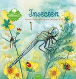 Insecten Willewete - Insecten