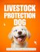 Livestock Protection Dogs for First-Time Owners