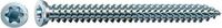 Spax Kozijnschroeven Torx TX30 Verzinkt 7.5x40mm - 100 Stuks