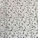 Gedy Corinzia gordijn, 120 x 200 cm, wit/zwart
