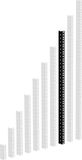 Adam Hall 61535 B 16 Heavy Duty Rack Strip zwart 16U